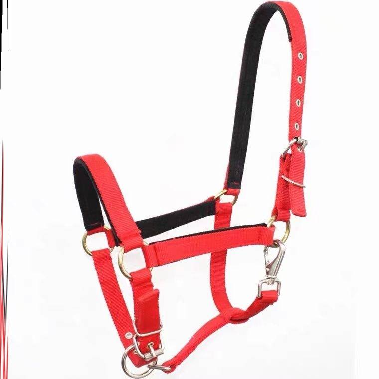 M80 - MAGNIFICENT (1 M3 TO 1 M5) MOLAR HEAD RED